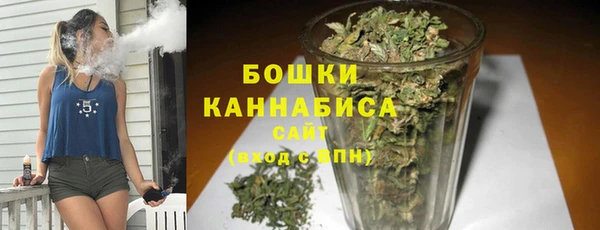 ГАЛЛЮЦИНОГЕННЫЕ ГРИБЫ Пестово