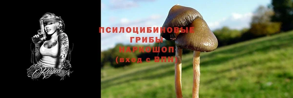 прущая мука Переславль-Залесский