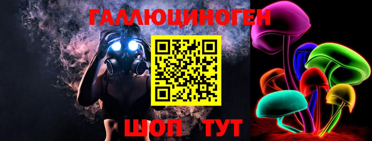Псилоцибиновые грибы Psilocybe Павлово