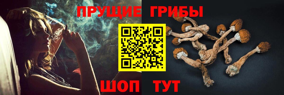 Галлюциногенные грибы GOLDEN TEACHER  Вход с VPN  Павлово 