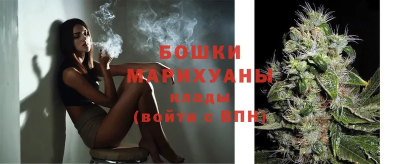 магазин продажи наркотиков  Павлово  Канабис LSD WEED 